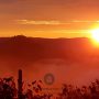 Landscape Gallery